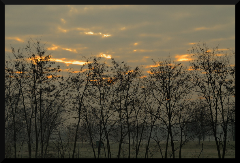 Fuoco d'inverno