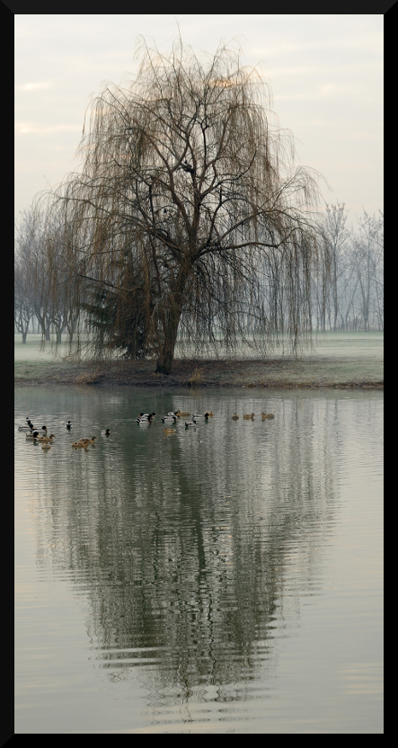Riflessioni #1