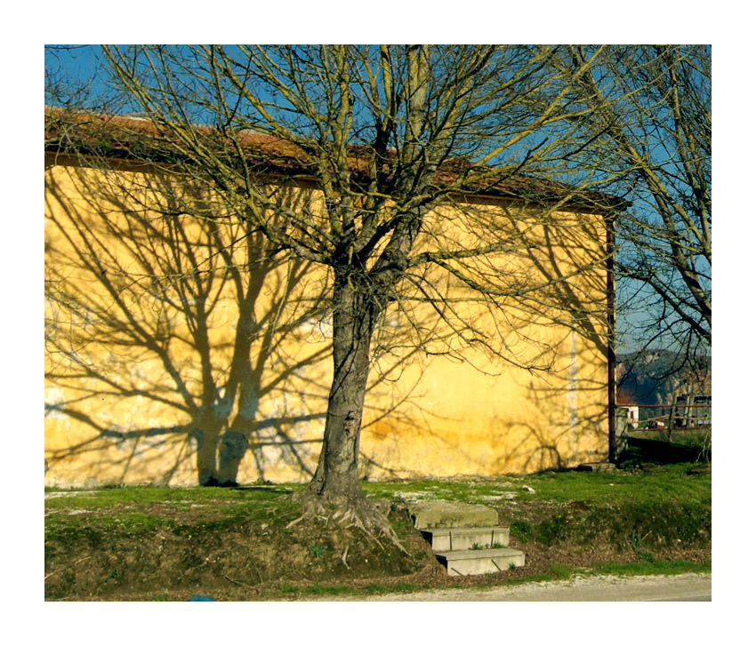 L dove  pace (crop)