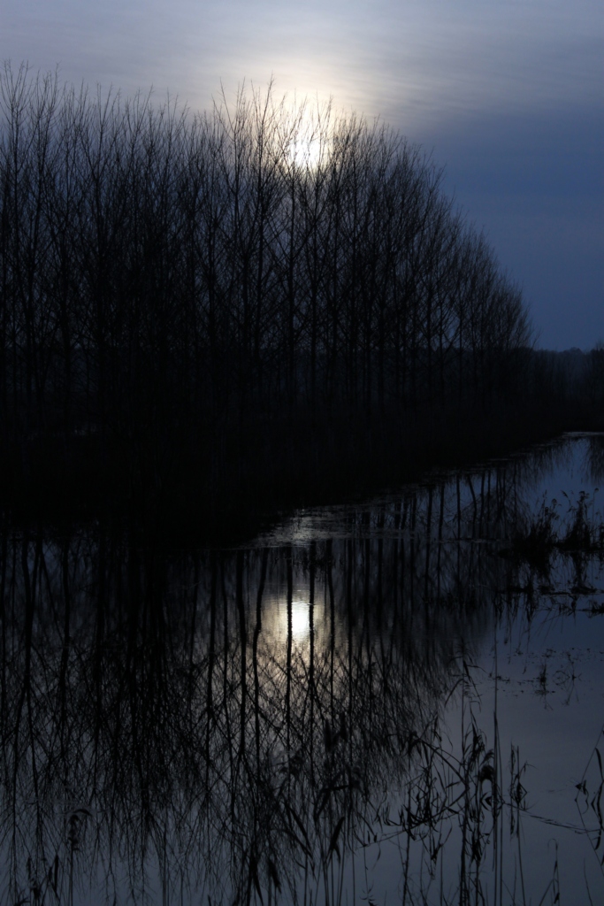 riflessi