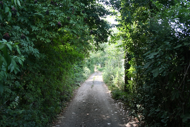 Tunnel