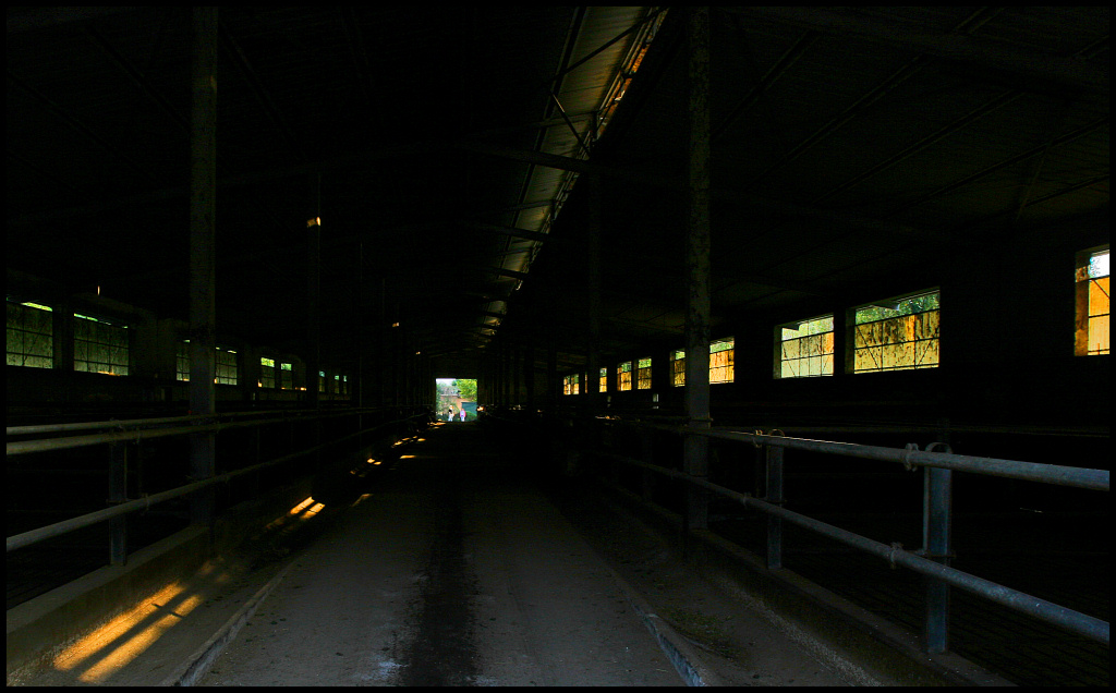 Stalla
