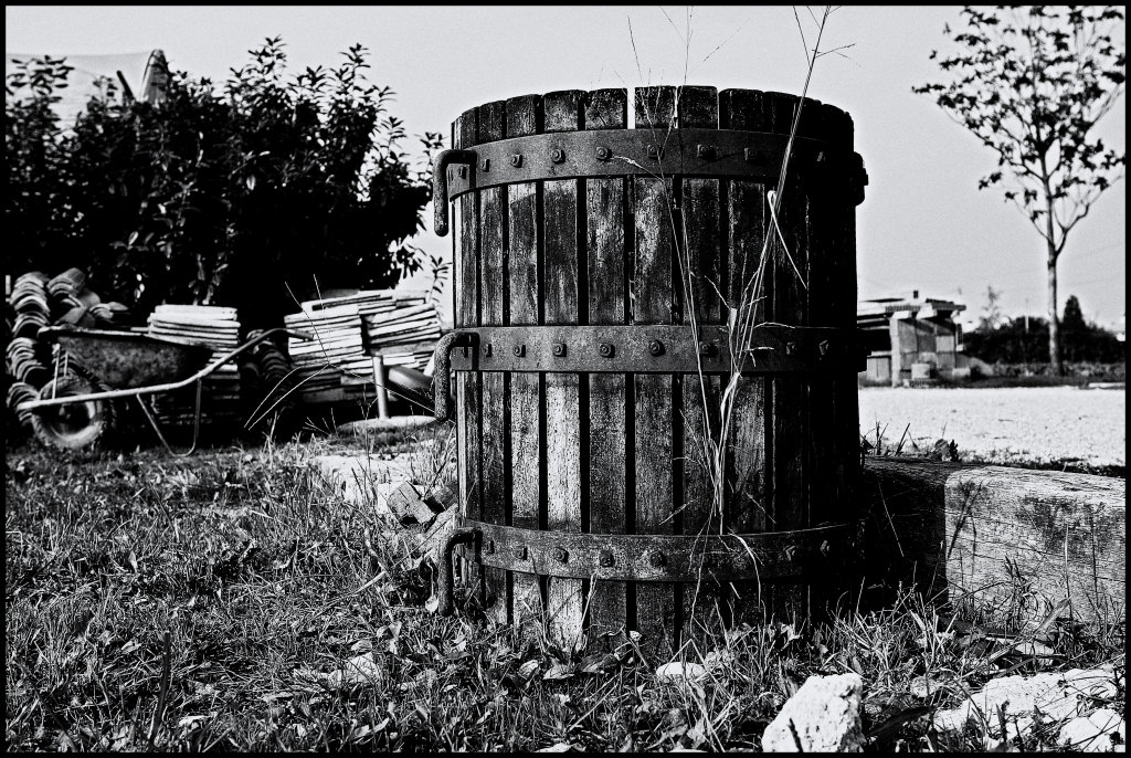 Tempo di vendemmia
