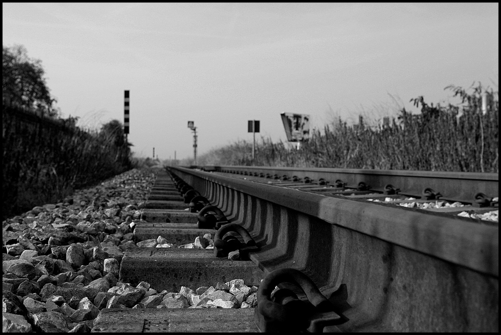 Il treno