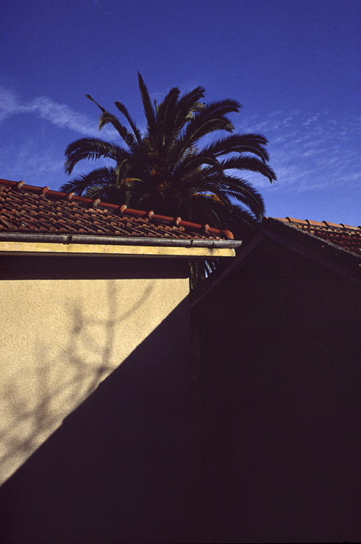 la palma