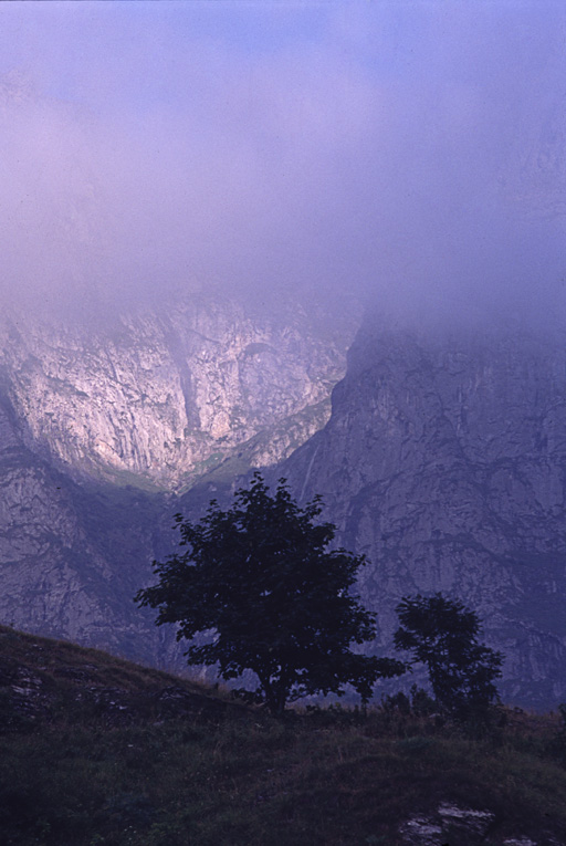 primo sole