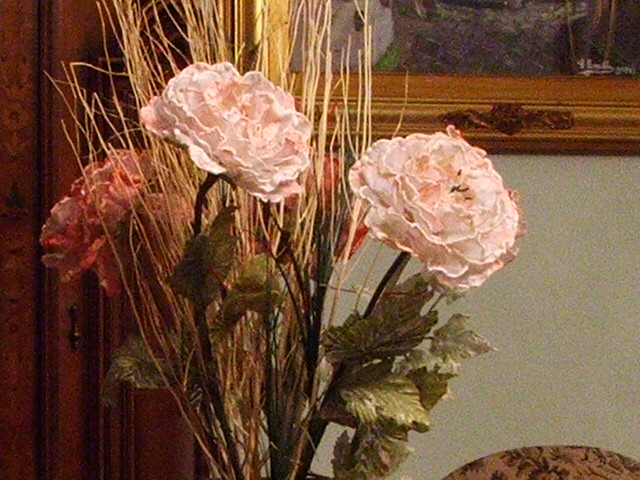 iso 400 crop 100%