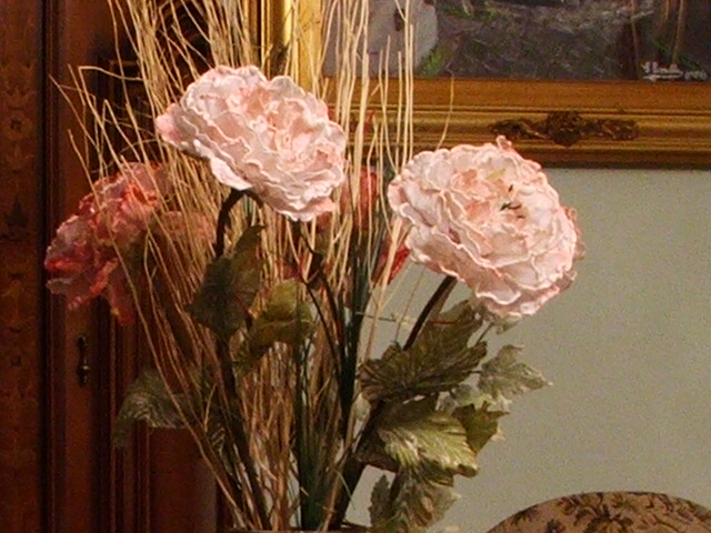 iso 200 crop 100%
