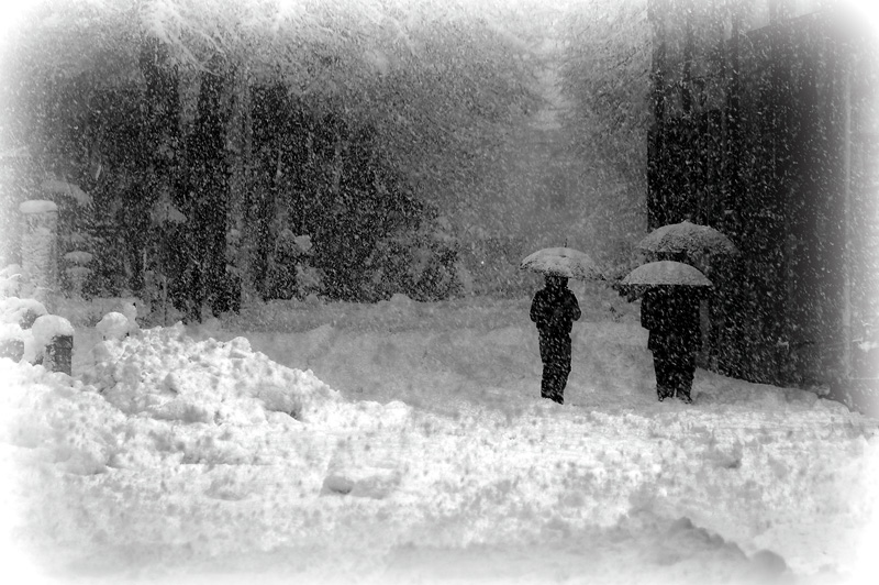 Siberia