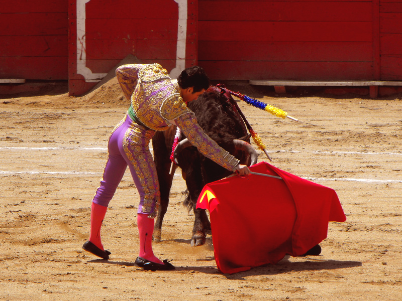 Toreando