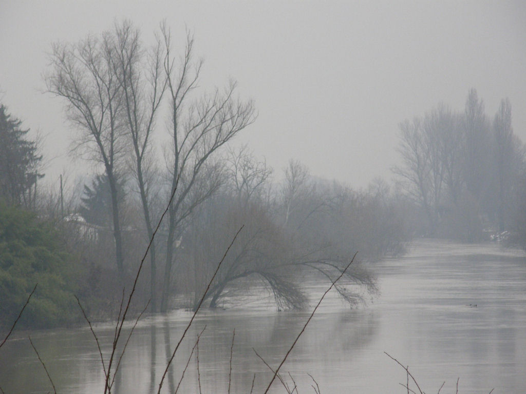 fiume in piena