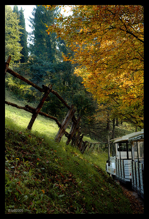 trenino verso l'autunno