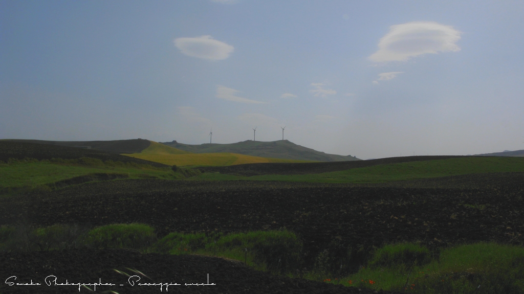 Paesaggio rurale