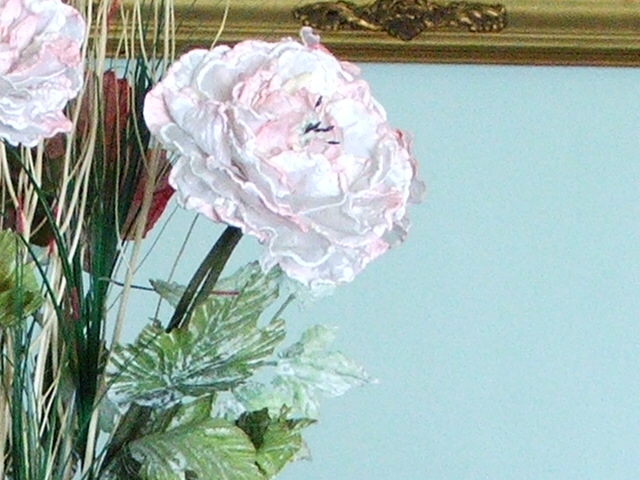 iso 400 crop 100% modalit chrome