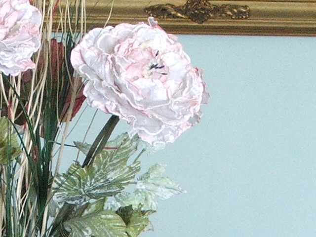 iso 400 crop 100% modalit standard