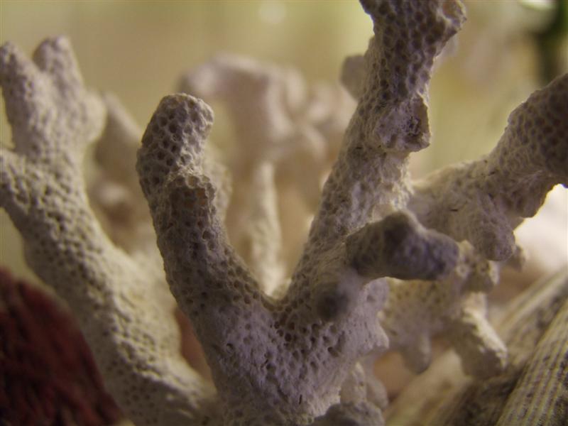 Macro - Test S100FS