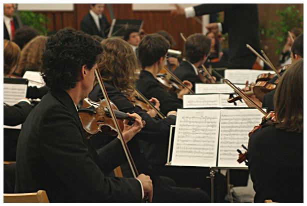 Orchestra 1