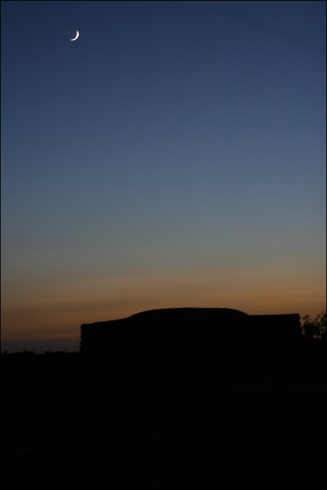 Pantelleria Night