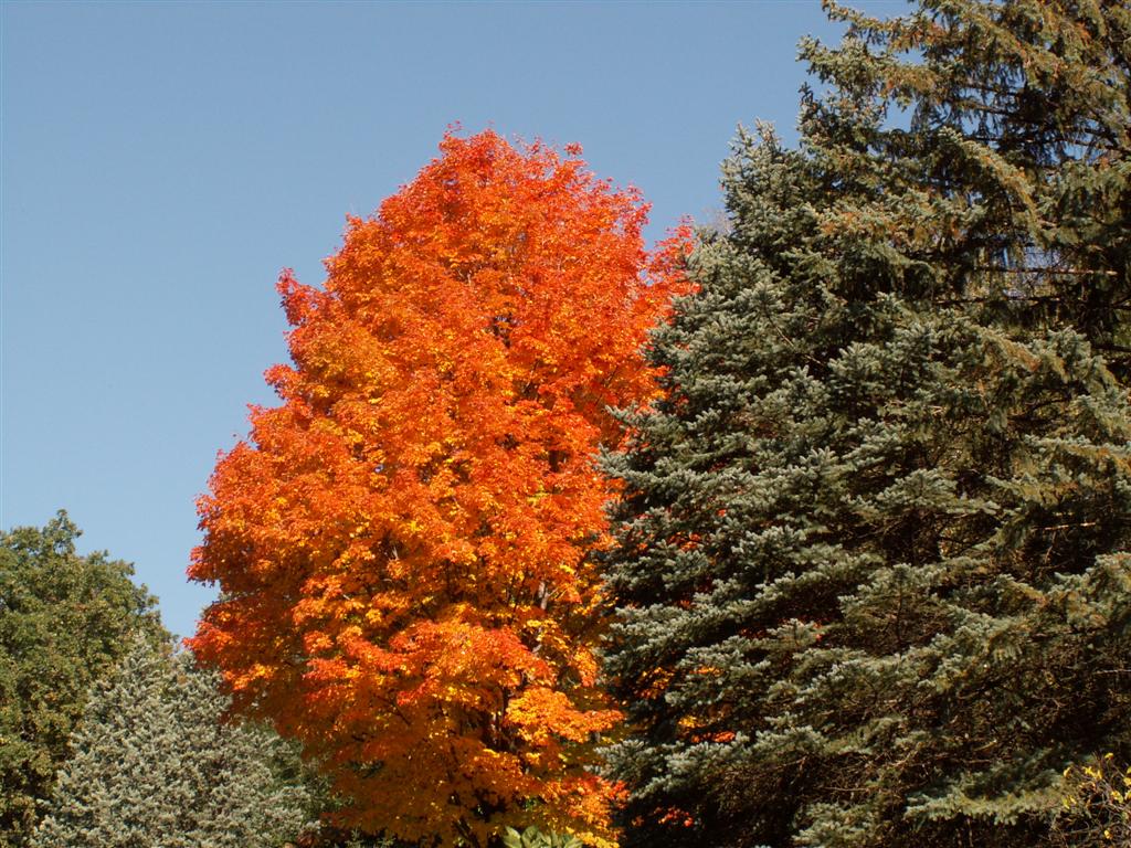 Autunno