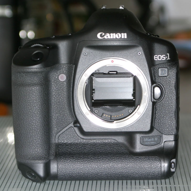 1D mkII tendina