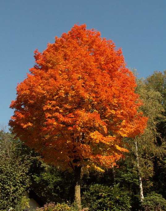 autunno 2