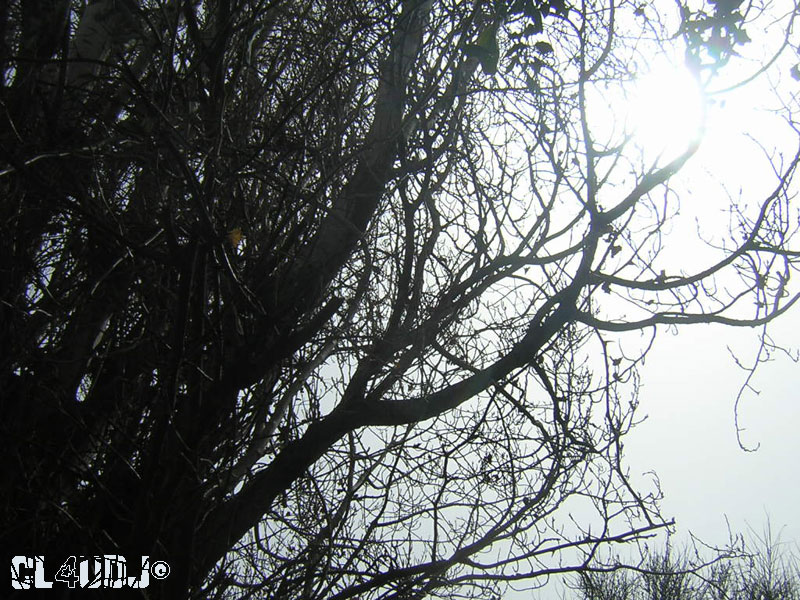 *ShY sUn*