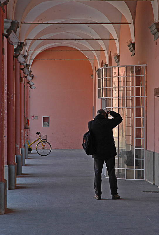 Alba Bra 22