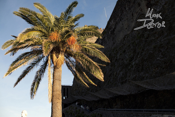 palma...