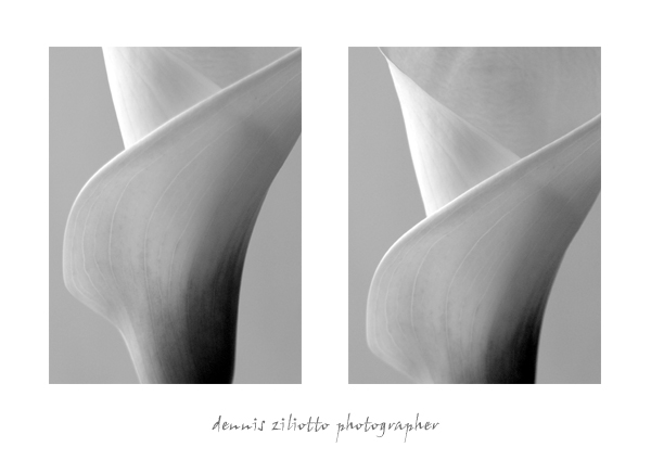calla