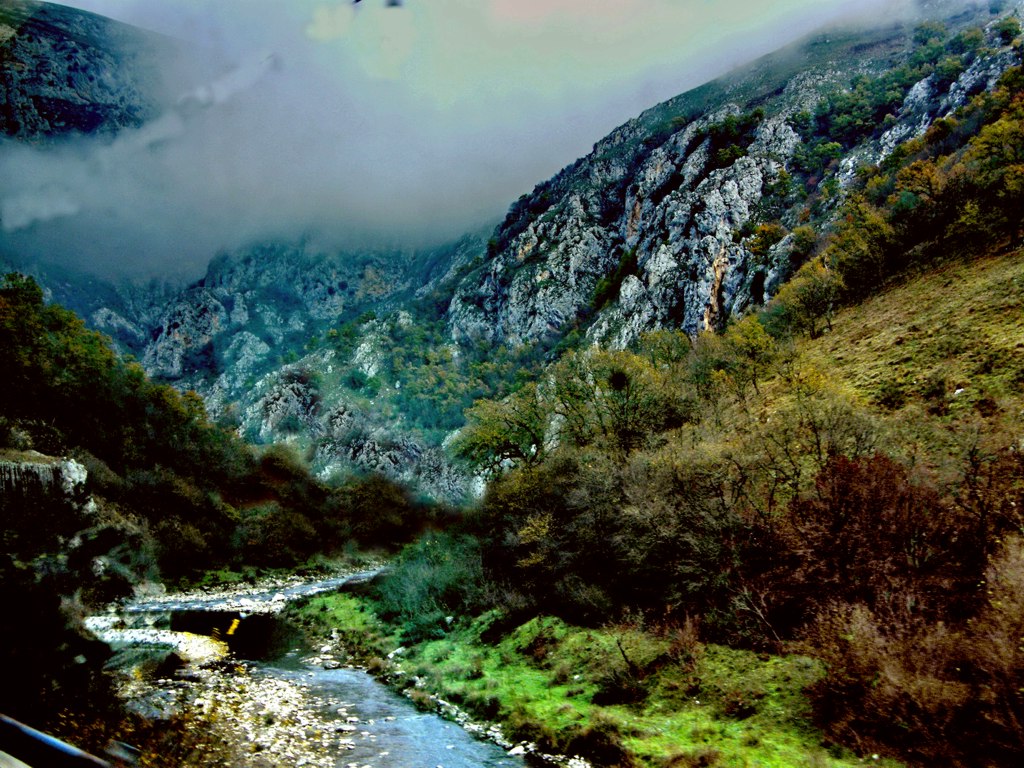 Nebbia