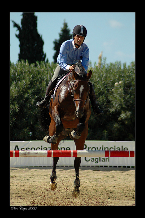 Salto