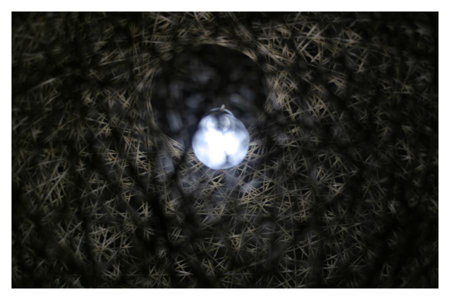 light