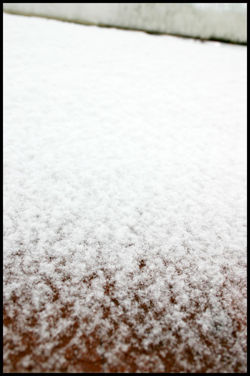 nevefresca