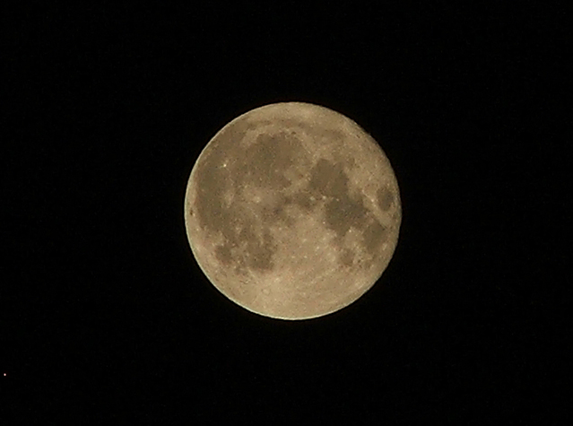 luna (crop)