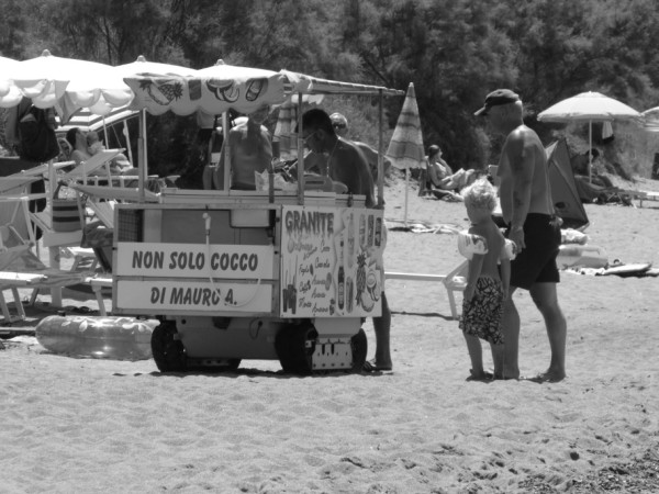 coccobello