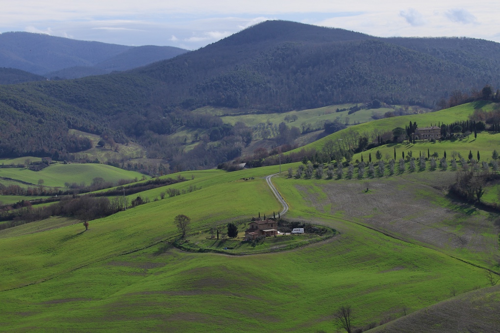 Campagna Toscana. ( PI )