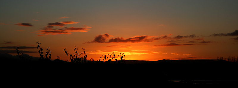 Dawn