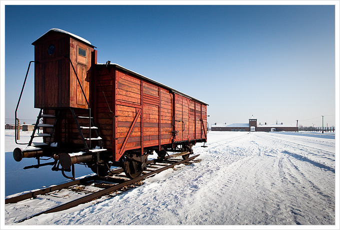 Birkenau #1