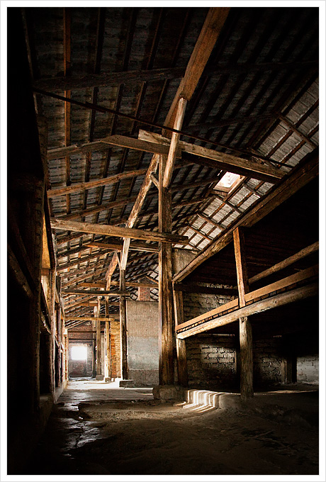 Birkenau #2