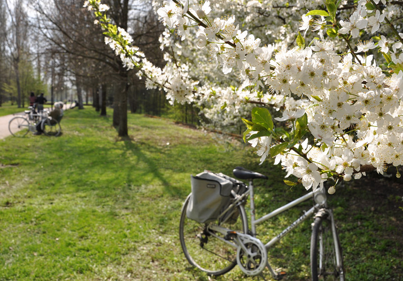 80 primavere