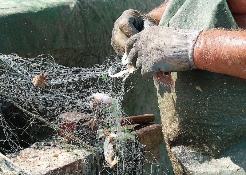 PESCATORE AL LAVORO