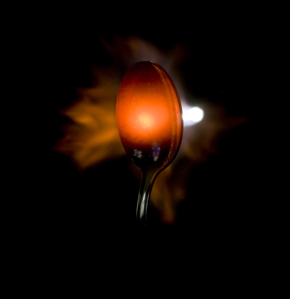 metamorfosi (2)