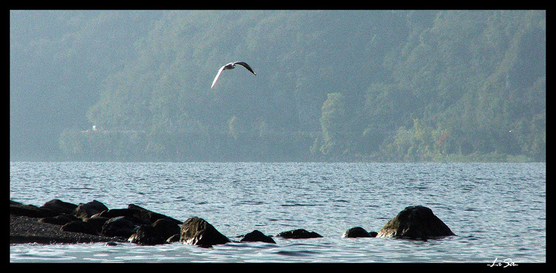 tranquillit sul lago