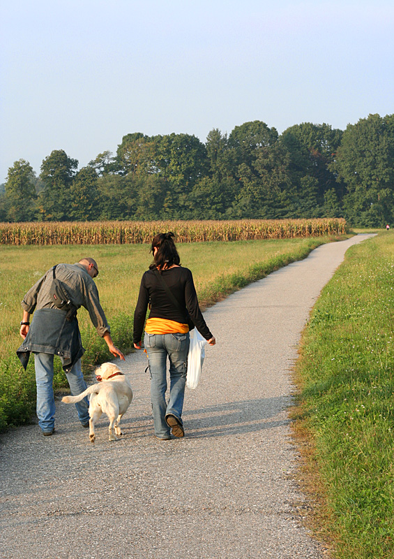 Al parco
