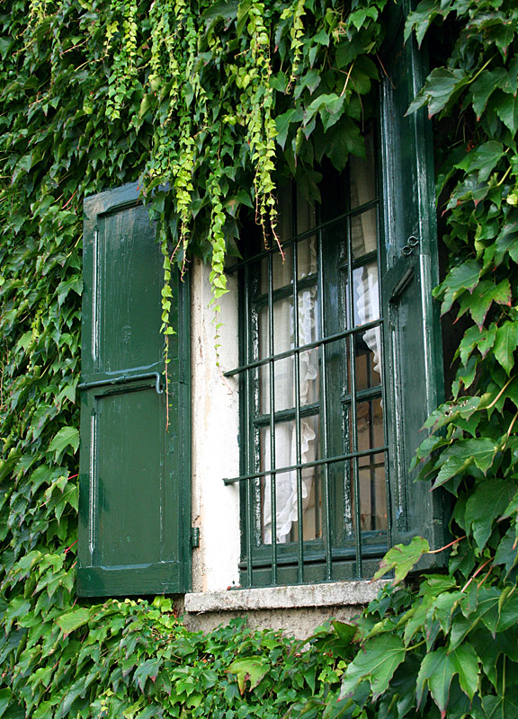 Green Window