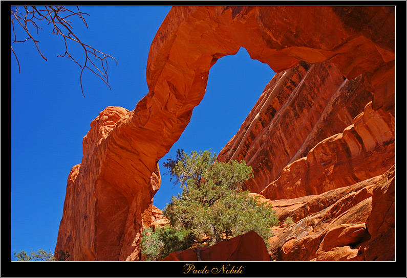 Wall Arch