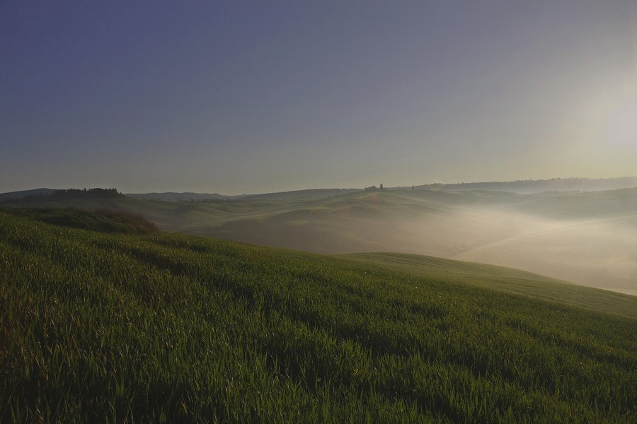 Alba vicino Pienza