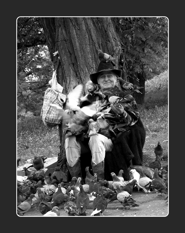 L'uomo dei piccioni