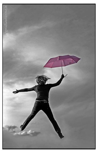 fly in the sky