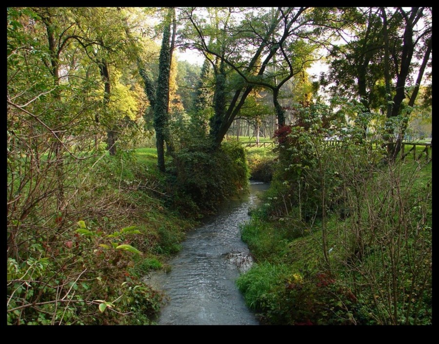 Autunno 5